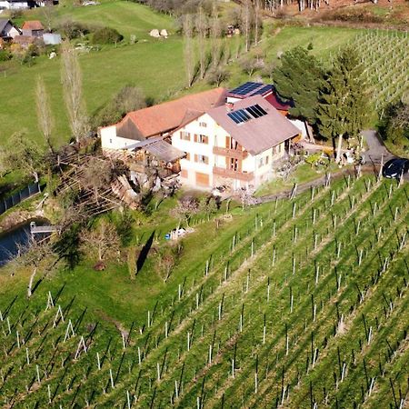 Appartement Weingut Schoberhof Bad Gleichenberg Exterior photo
