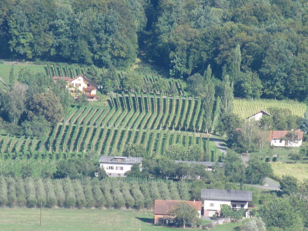 Appartement Weingut Schoberhof Bad Gleichenberg Room photo