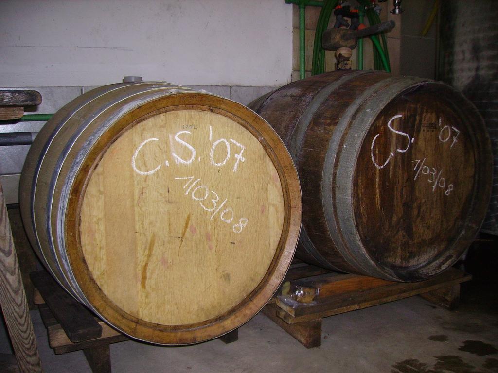 Appartement Weingut Schoberhof Bad Gleichenberg Room photo
